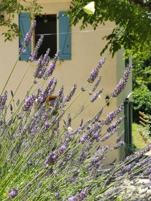 Apartamento The Walnut Tree. Saint-Aulaye-Puymangou Exterior foto